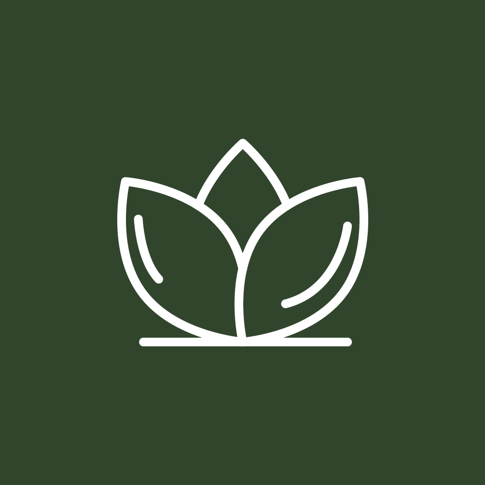 icon62.png